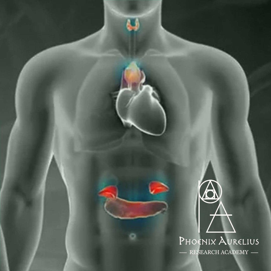 Endocrine IDF's