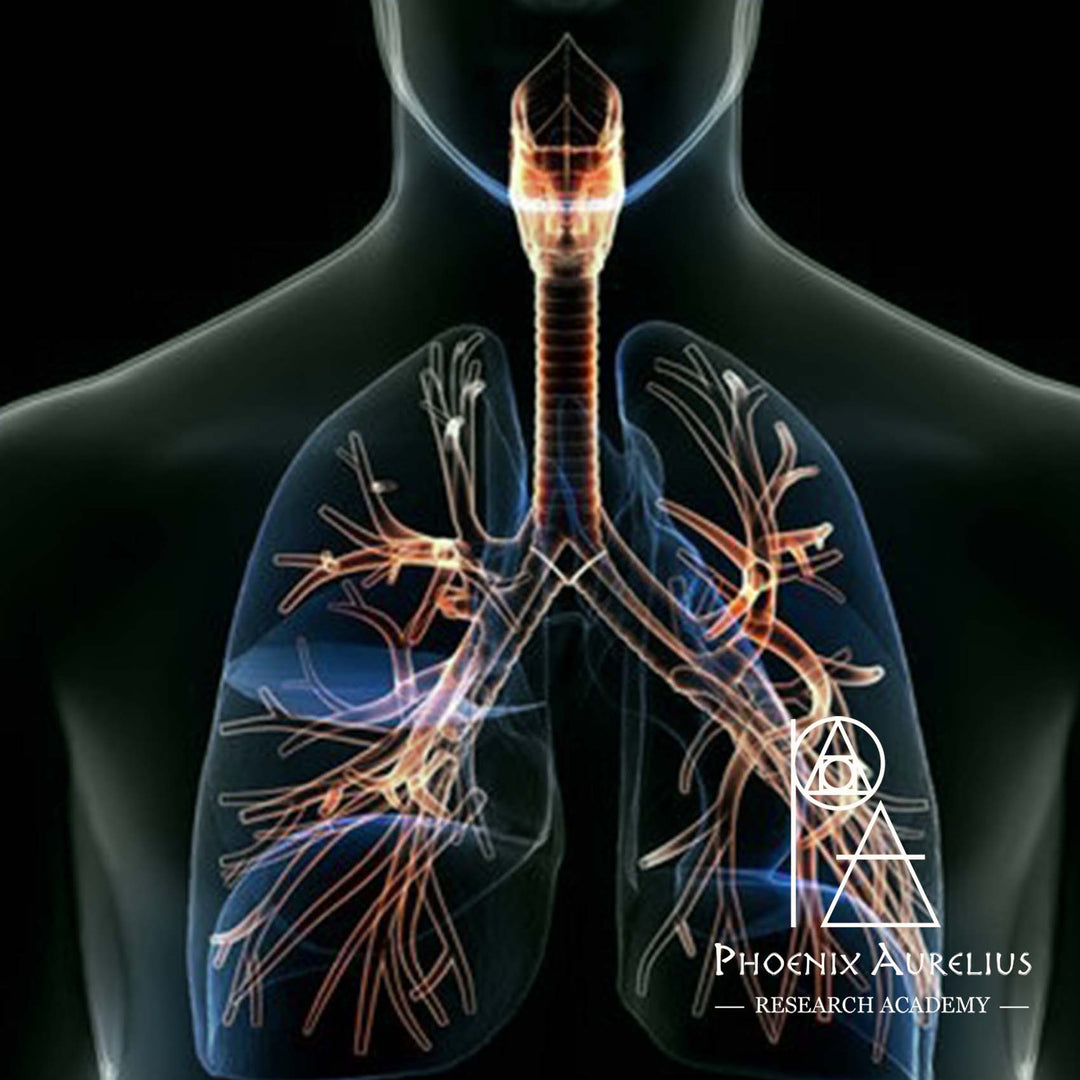 Respiratory Wellness