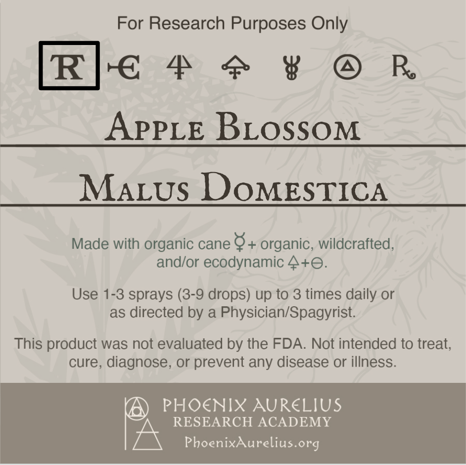 Apple-Blossom-Spagyric-Tincture-aurelian-spagyria