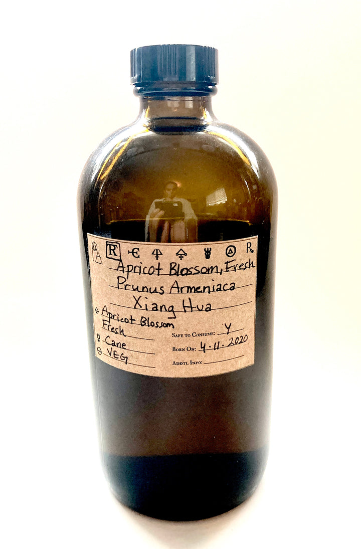 Apricot Blossom, Fresh, Spagyric Tincture