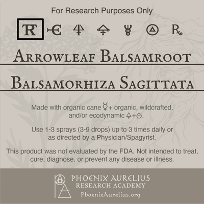 Arrowleaf-Balsamroot-Spagyric-Tincture-aurelian-spagyria