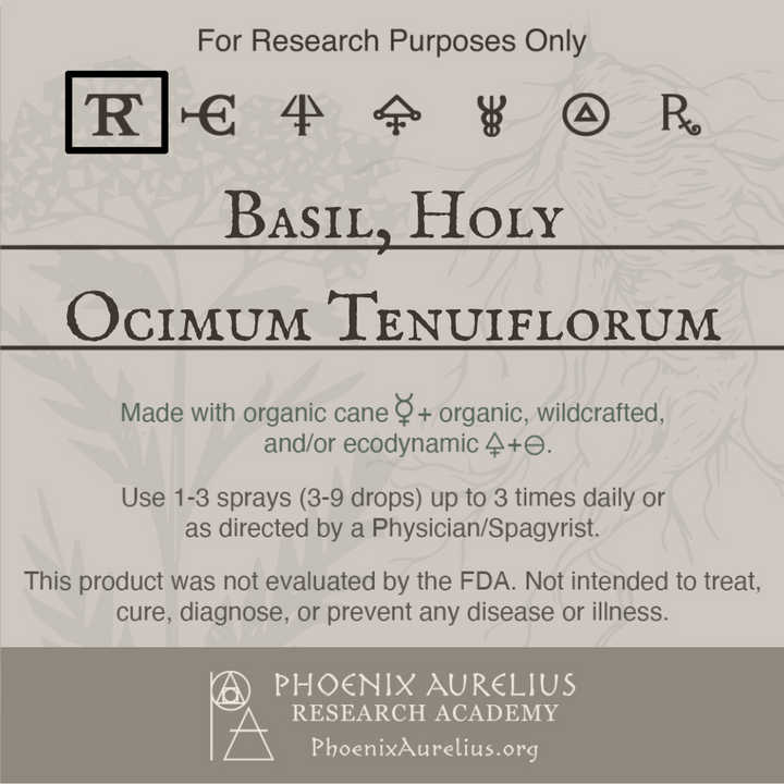 Basil-Holy-Spagyric-Tincture-aurelian-spagyria