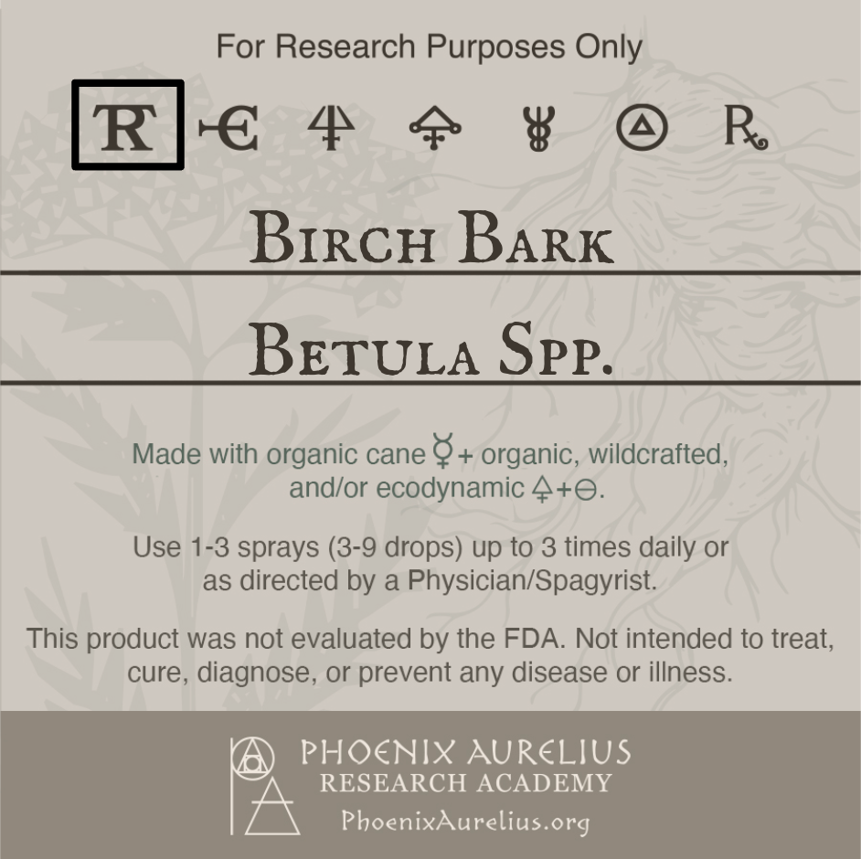 Birch-Bark-Spagyric-Tincture-aurelian-spagyria