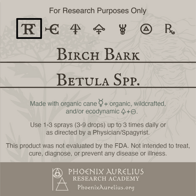 Birch-Bark-Spagyric-Tincture-aurelian-spagyria