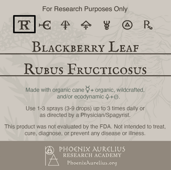 Blackberry-Leaf-Spagyric-Tincture-aurelian-spagyria