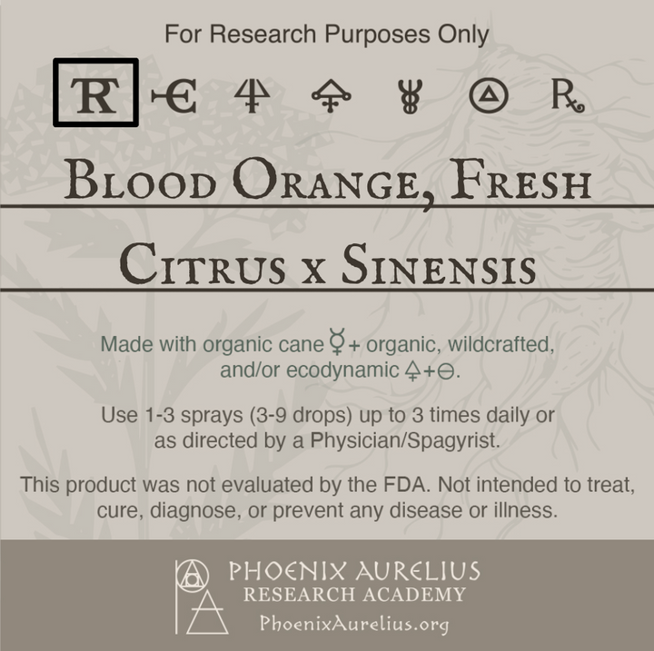 Blood-Orange-Fresh-Spagyric-Tincture-aurelian-spagyria