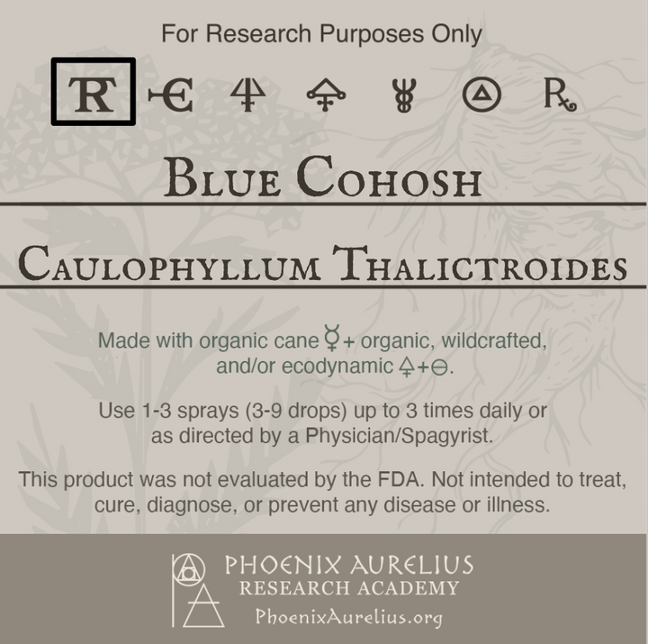 Blue-Cohosh-Spagyric-Tincture-aurelian-spagyria