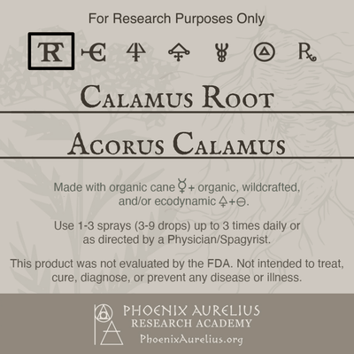 Calamus-Root-Spagyric-Tincture-aurelian-spagyria