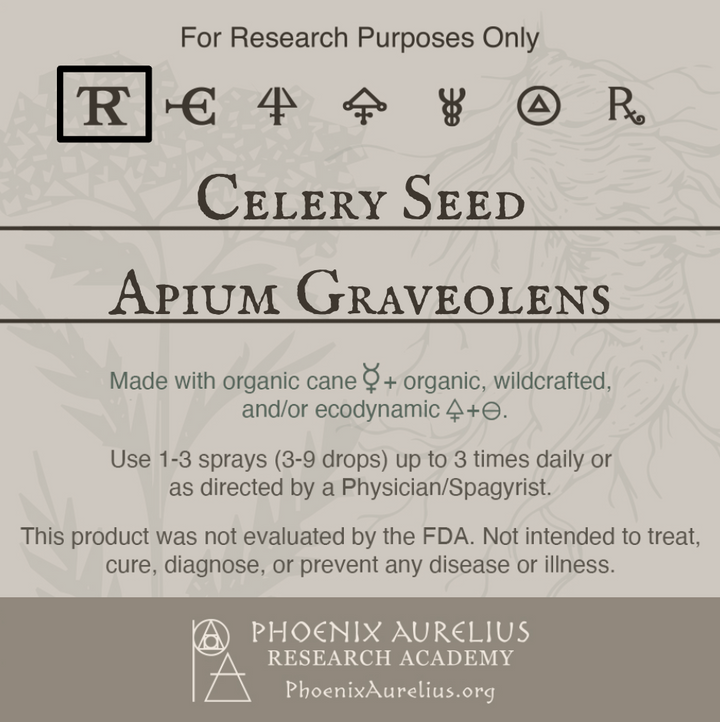 Celery-Seed-Spagyric-Tincture-aurelian-spagyria