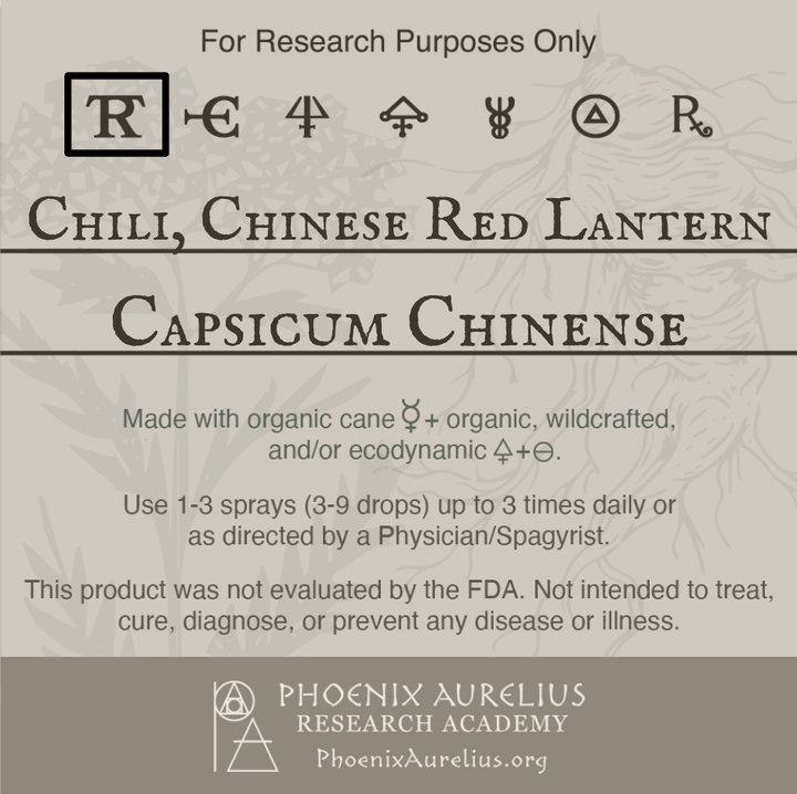 Chili-Chinese-Red-Lantern-Spagyric-Tincture-aurelian-spagyria