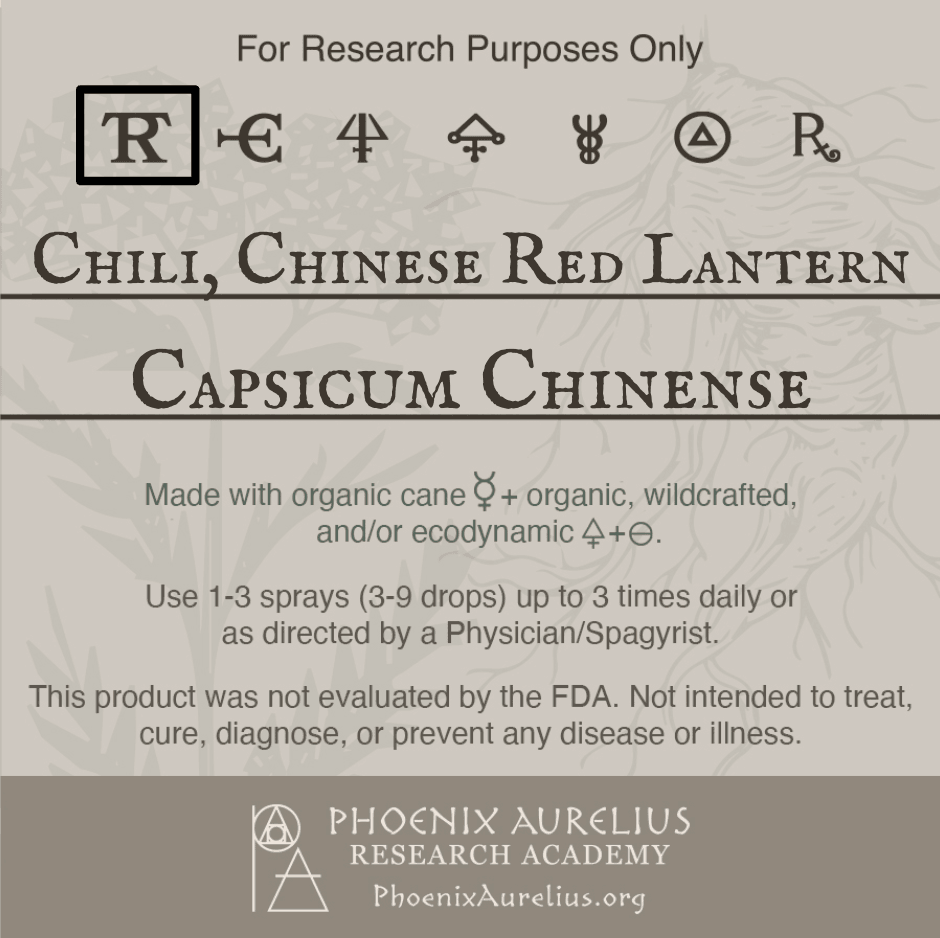 Chili-Chinese-Red-Lantern-Spagyric-Tincture-aurelian-spagyria