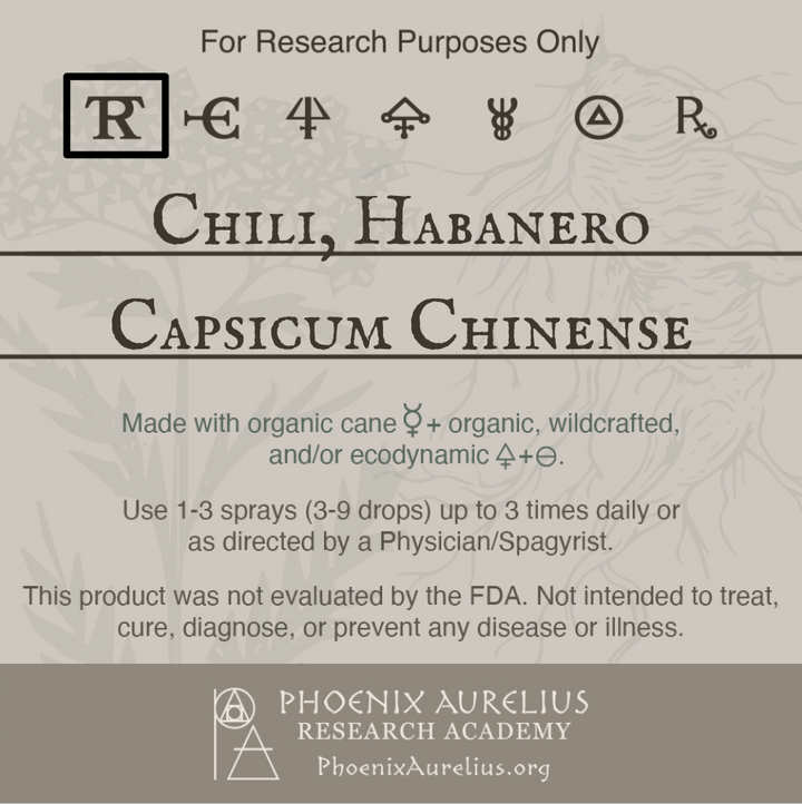 Chili-Habanero-Spagyric-Tincture-aurelian-spagyria