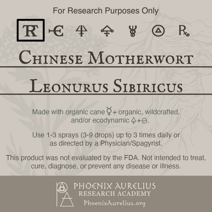 Chinese-Motherwort-Spagyric-Tincture-aurelian-spagyria