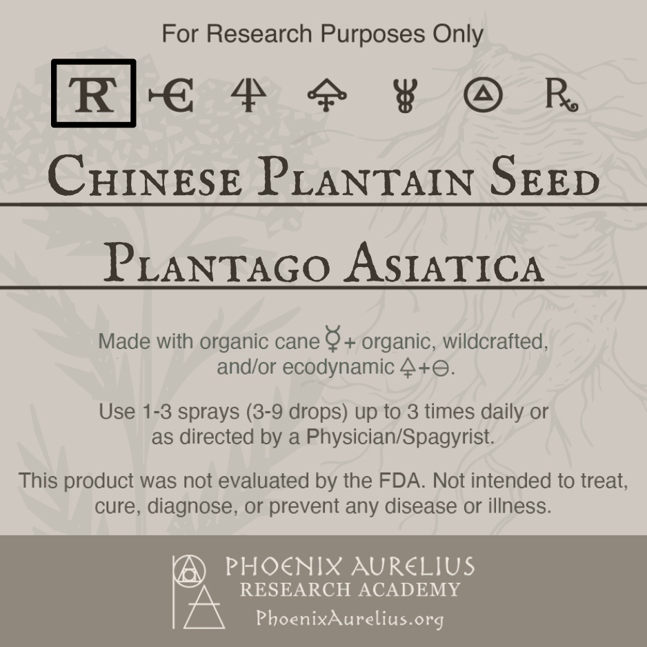 Chinese-Plantain-Seed-Spagyric-Tincture-aurelian-spagyria