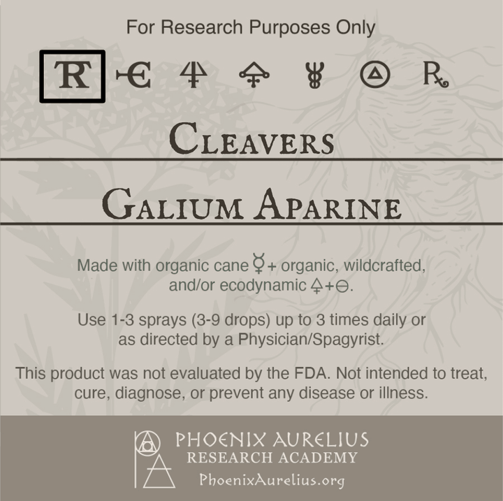 Cleavers-Spagyric-Tincture-aurelian-spagyria