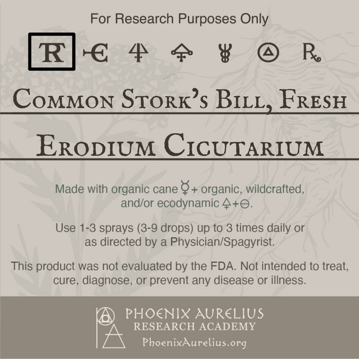 Common-Storks-Bill-Fresh-Spagyric-Tincture-aurelian-spagyria