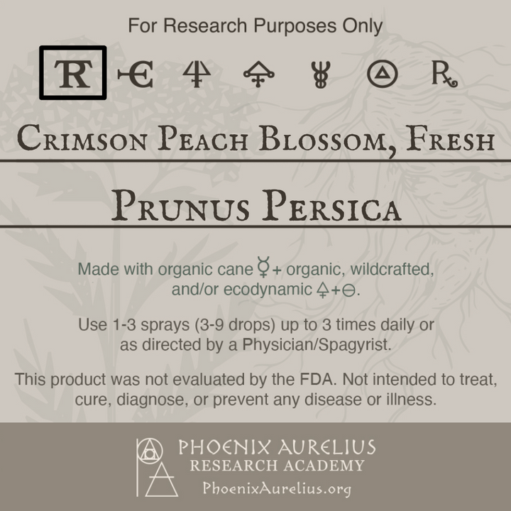 Crimson-Peach-Blossom-Fresh-Spagyric-Tincture-aurelian-spagyria