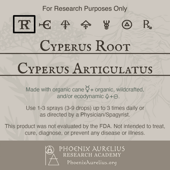 Cyperus-Root-Spagyric-Tincture-aurelian-spagyria