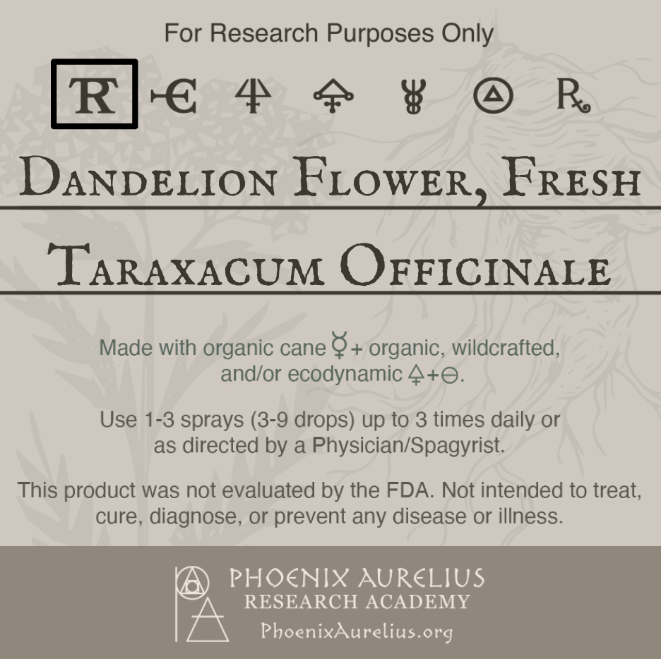 Dandelion-Flower-Fresh-Spagyric-Tincture-aurelian-spagyria