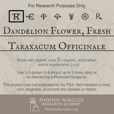 Dandelion-Flower-Fresh-Spagyric-Tincture-aurelian-spagyria
