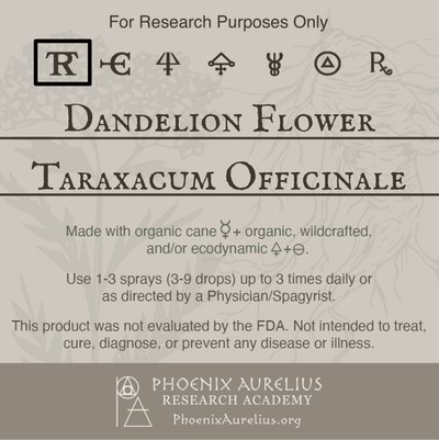 Dandelion-Flower-Spagyric-Tincture-aurelian-spagyria
