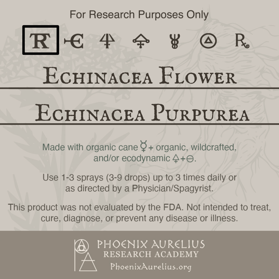 Echinacea-Flower-Spagyric-Tincture-aurelian-spagyria