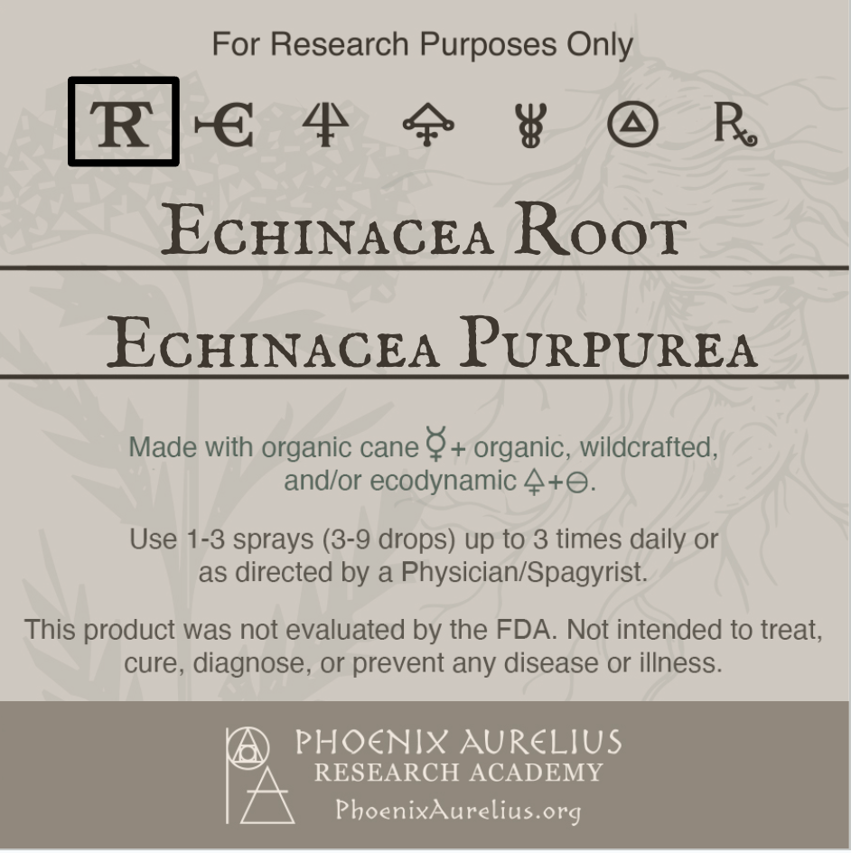 Echinacea-Root-Spagyric-Tincture-aurelian-spagyria