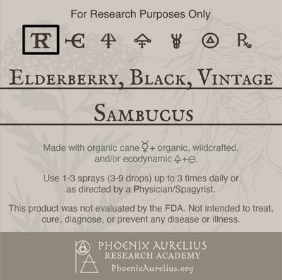 Elderberry-Black-Vintage-Spagyric-Tincture-aurelian-spagyria