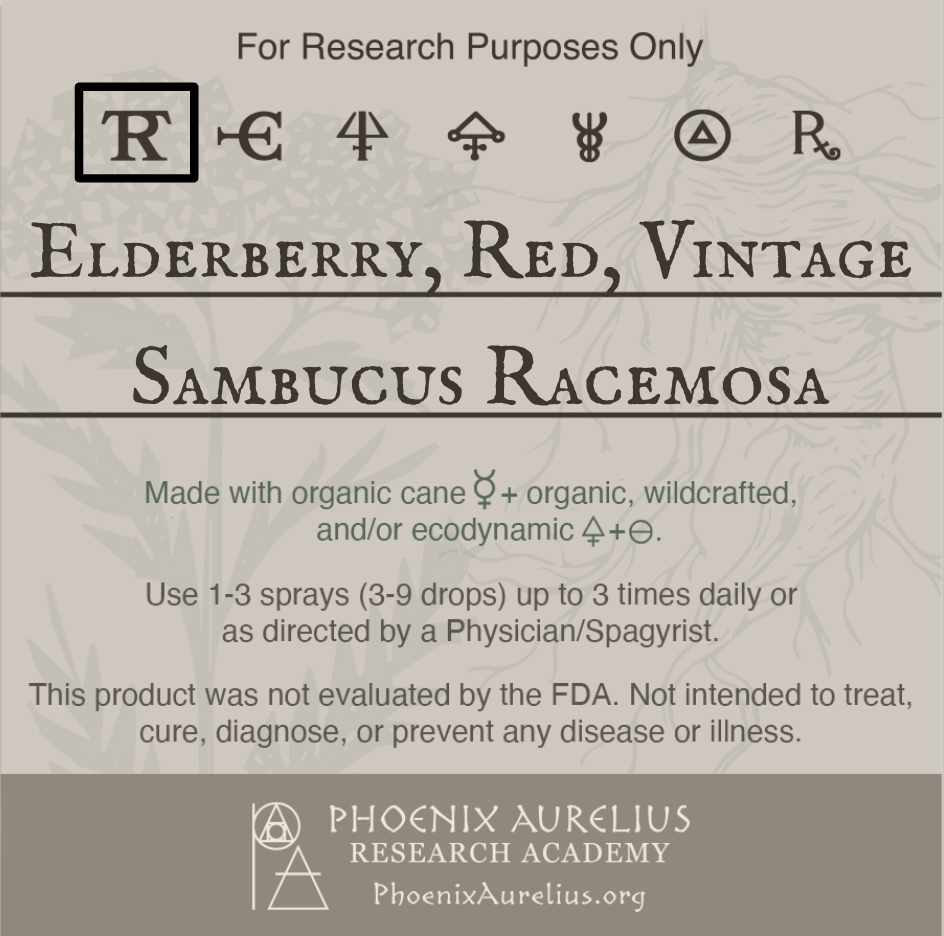 Elderberry-Red-Vintage-Spagyric-Tincture-aurelian-spagyria