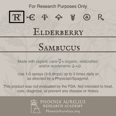 Elderberry-Spagyric-Tincture-aurelian-spagyria