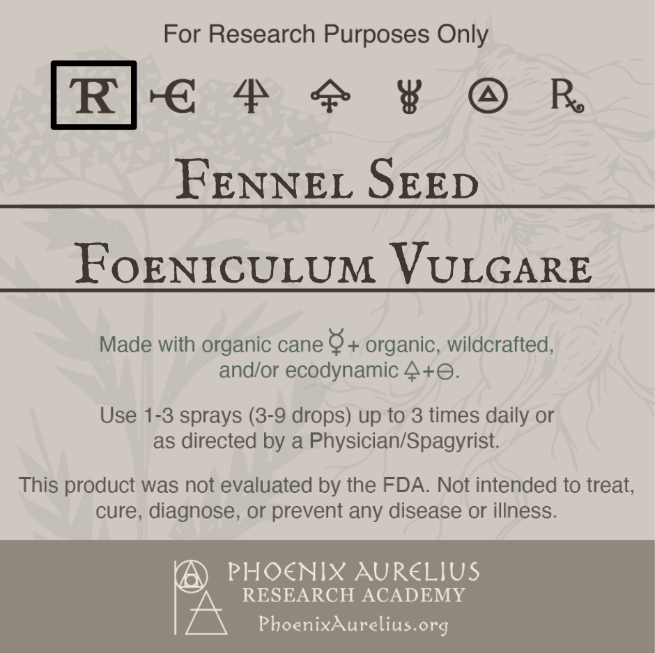 Fennel-Seed-Spagyric-Tincture-aurelian-spagyria