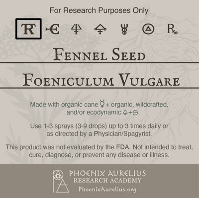 Fennel-Seed-Spagyric-Tincture-aurelian-spagyria