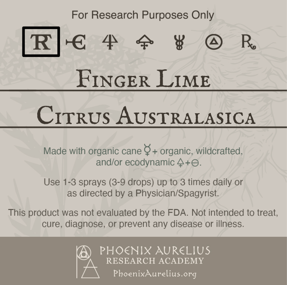 Finger-Lime-Spagyric-Tincture-aurelian-spagyria