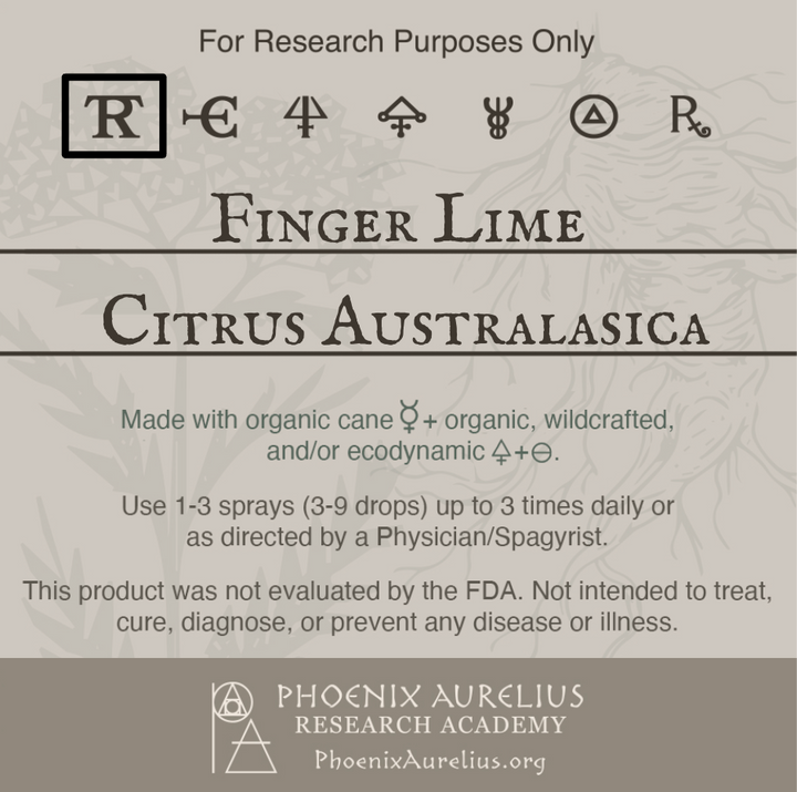 Finger-Lime-Spagyric-Tincture-aurelian-spagyria