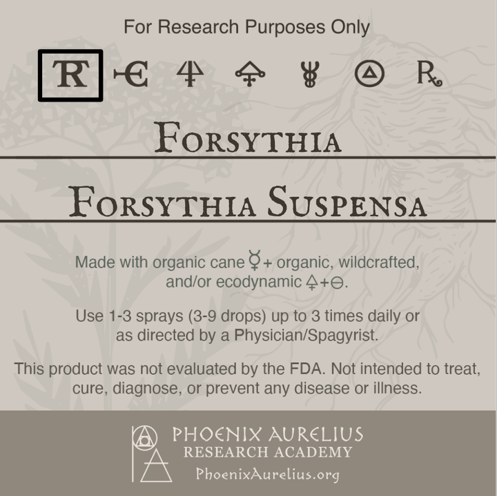 Forsythia-Spagyric-Tincture-aurelian-spagyria