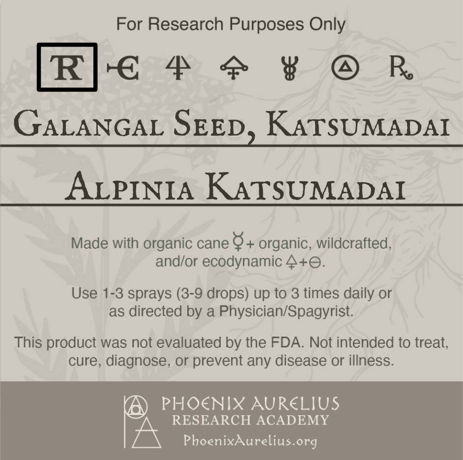 Galangal-Seed-Katsumadai-Spagyric-Tincture-aurelian-spagyria