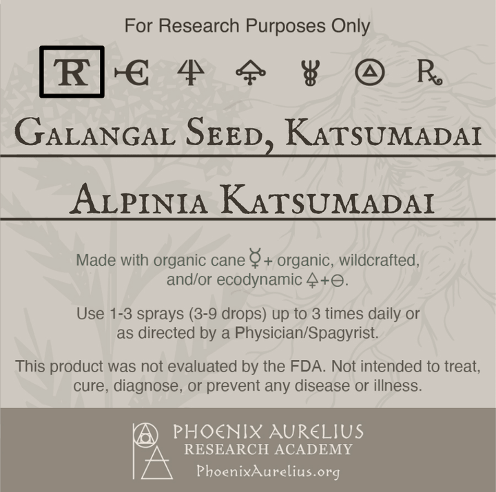 Galangal-Seed-Katsumadai-Spagyric-Tincture-aurelian-spagyria