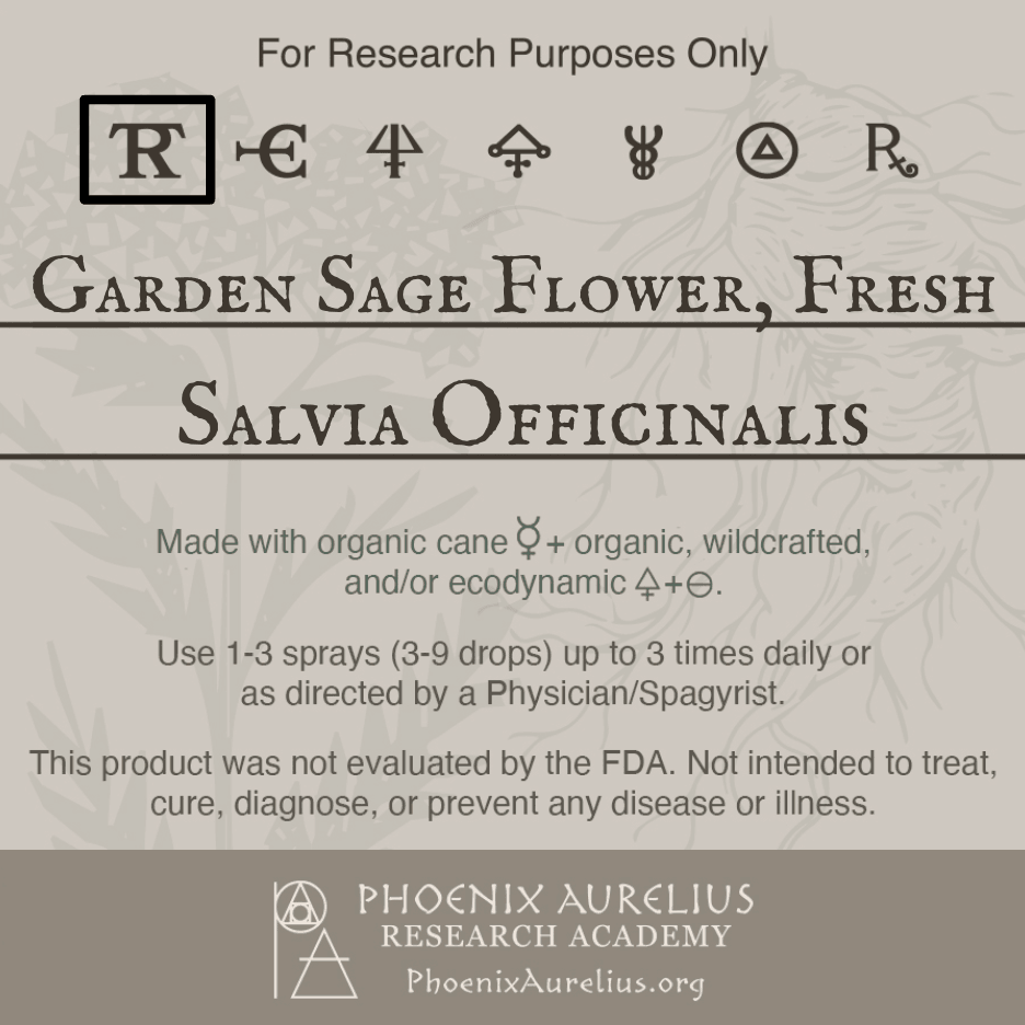 Garden-Sage-Flower-Fresh-Spagyric-Tincture-aurelian-spagyria