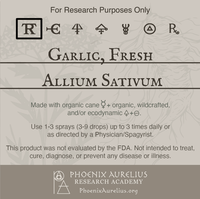 Garlic-Fresh-Spagyric-Tincture-aurelian-spagyria