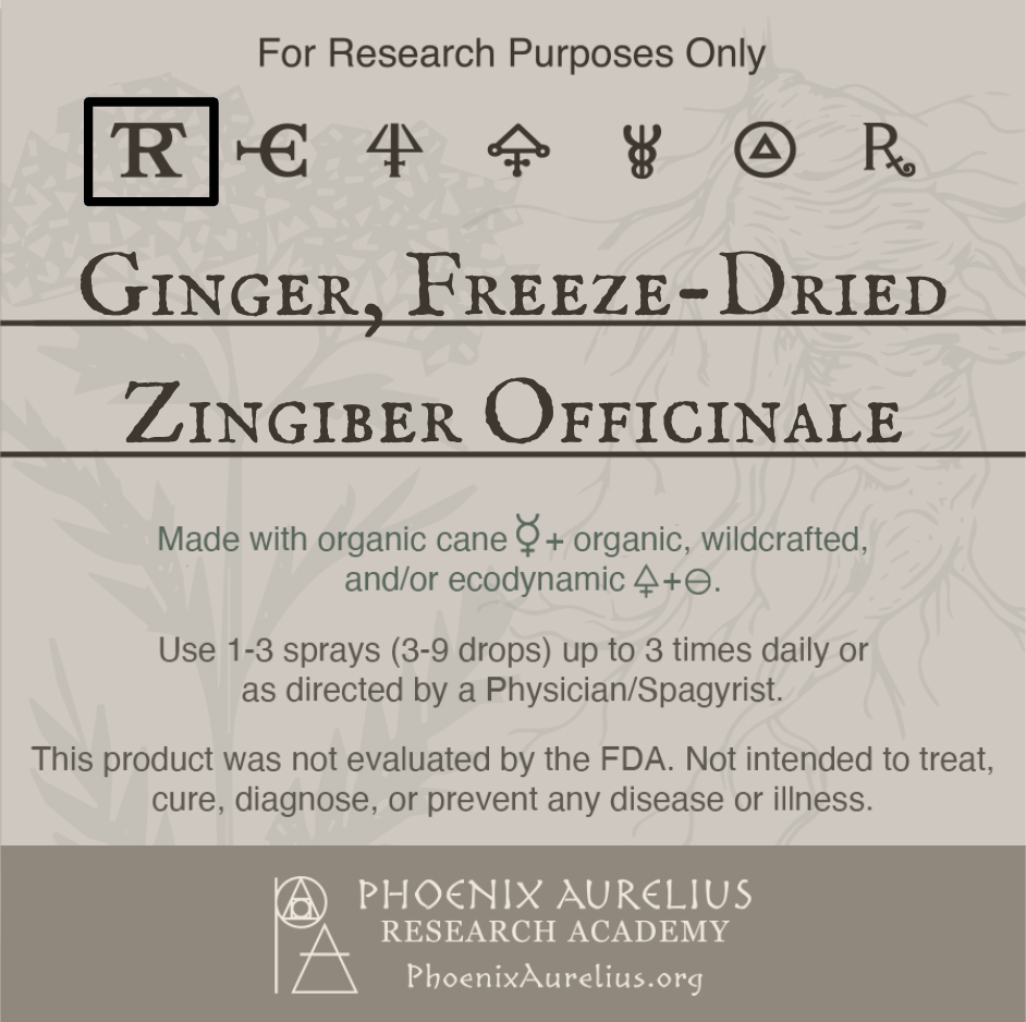 Ginger-Freeze-Dried-Spagyric-Tincture-aurelian-spagyria