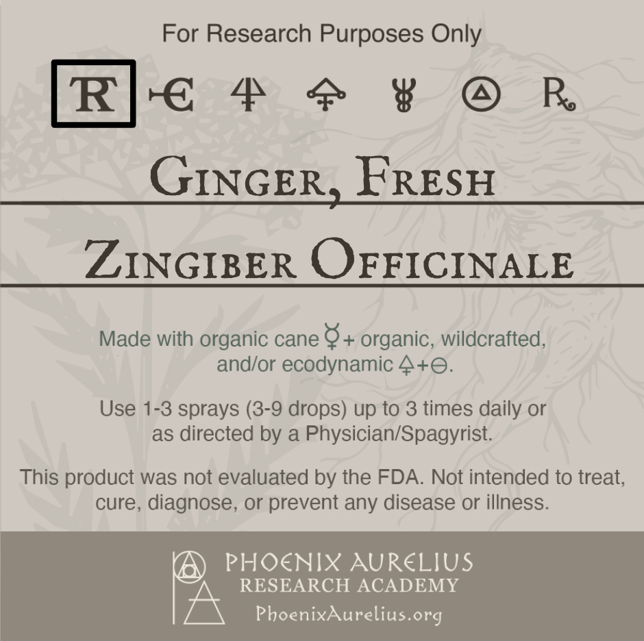 Ginger-Fresh-Spagyric-Tincture-aurelian-spagyria