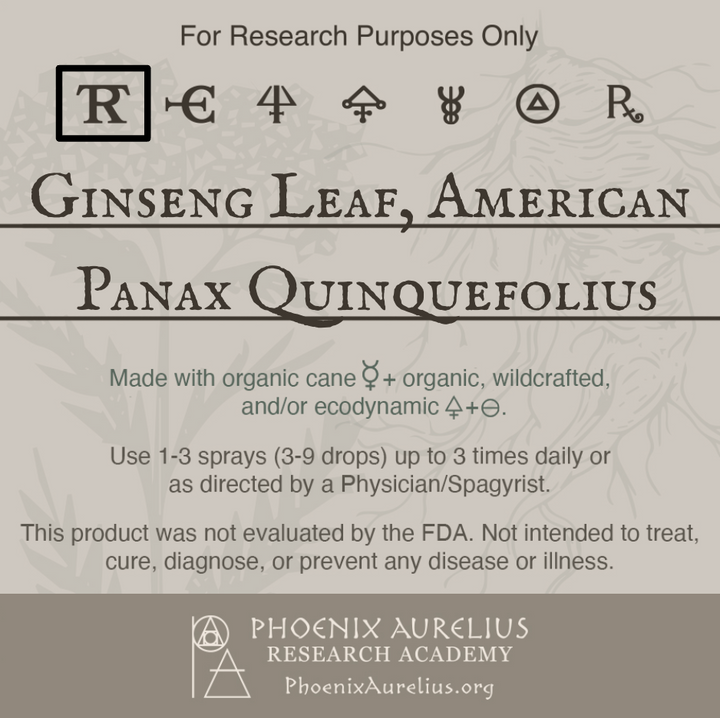 Ginseng-Leaf-American-Spagyric-Tincture-aurelian-spagyria