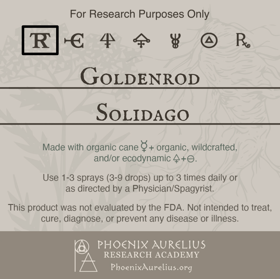Goldenrod-Spagyric-Tincture-aurelian-spagyria