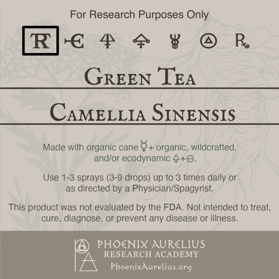 Green-Tea-Spagyric-Tincture-aurelian-spagyria