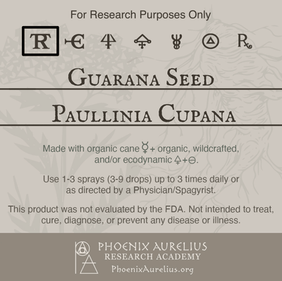 Guarana-Seed-Spagyric-Tincture-aurelian-spagyria