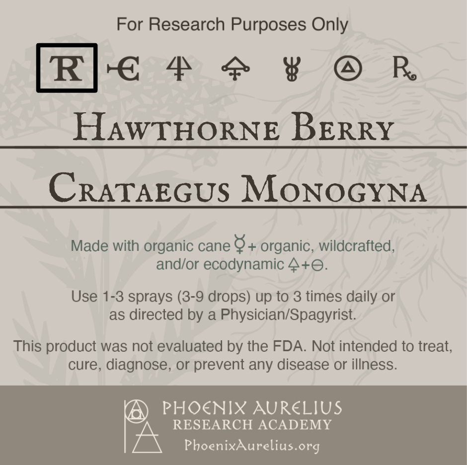 Hawthorne-Berry-Spagyric-Tincture-aurelian-spagyria