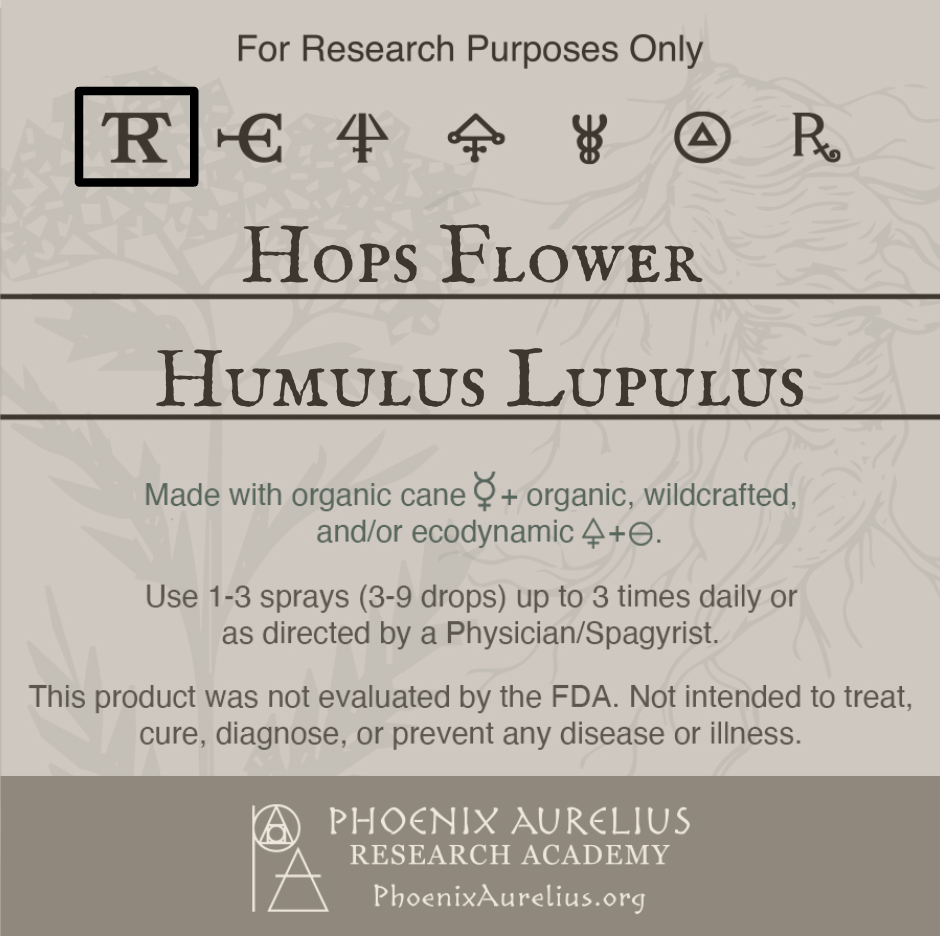 Hops-Flower-Spagyric-Tincture-aurelian-spagyria