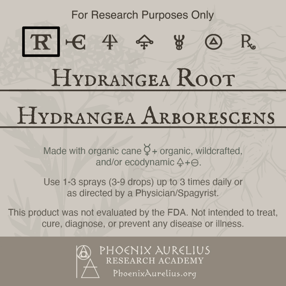 Hydrangea-Root-Spagyric-Tincture-aurelian-spagyria