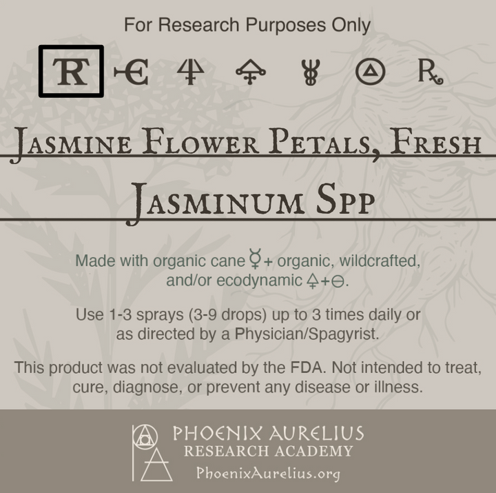 Jasmine-Flower-Petals-Fresh-Spagyric-Tincture-aurelian-spagyria