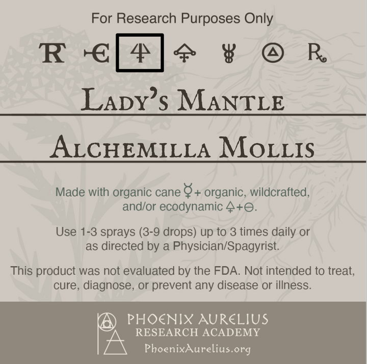 Ladys-Mantle-Spagyric-Essence-per-Destillatio-aurelian-spagyria